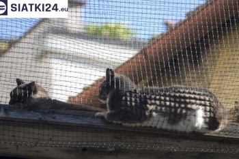 Siatki Końskie - Siatka na balkony dla kota i zabezpieczenie dzieci dla terenów Końskie